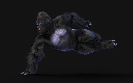 3d Illustration  a silverback gorilla on dark background   .の写真素材