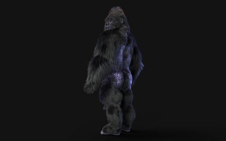 3d Illustration  a silverback gorilla on dark background   .の写真素材
