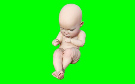 A new born infant baby isolated on green background, 3D model illustrationの写真素材