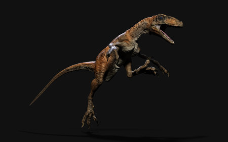 3d Illustration pose of deinonychus antirrhopus the most iconic and representative dinosaurs on dark background with clipping path. dinosaurs concept.の写真素材