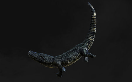 3D rendering of a crocodile isolated on black with clipping pathの写真素材