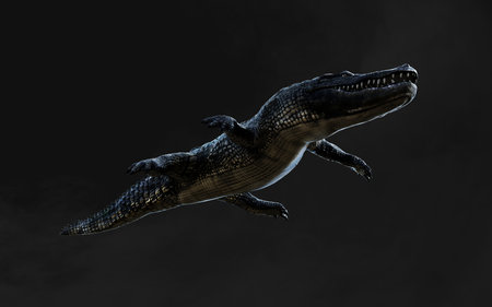 3D render of a crocodile isolated on a black background.の写真素材