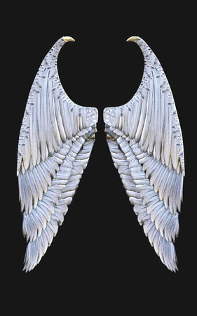 angel wings isolated on black background. 3d illustration. high resolution
