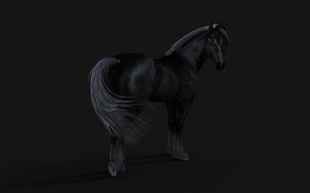 Black stallion with long mane on black background. 3D renderingの写真素材