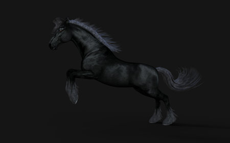 Black stallion with long mane on black background. 3D renderingの写真素材