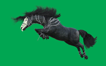 3D rendering of a fantasy black horse isolated on green screen backgroundの写真素材