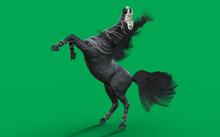 Fantasy black horse with long mane on green background. 3D renderingの写真素材