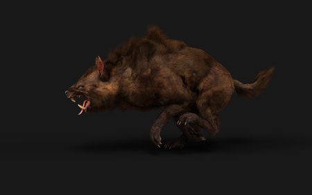 3D rendering of a big wolf isolated on black background with shadowの写真素材