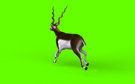3d illustration of an elegant antelope gliding across the plains, showcasing swift leaps, agile turns, and natural wildlife movement in stunning clarity.の写真素材