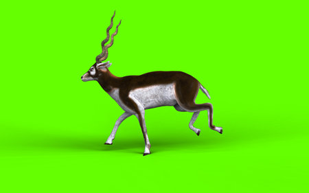 3d illustration of an elegant antelope gliding across the plains, showcasing swift leaps, agile turns, and natural wildlife movement in stunning clarity.の写真素材