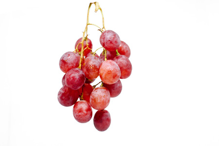 Grape fruit isolated on white background with clipping path.の写真素材