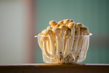 Shimeji mushrooms in a clear plastic square box Placed on a piece of wood with natural background....