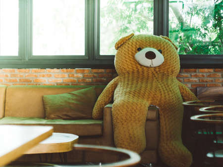The brown teddy bear sat on the sofa next to the window and had sunshine in the morning.の写真素材