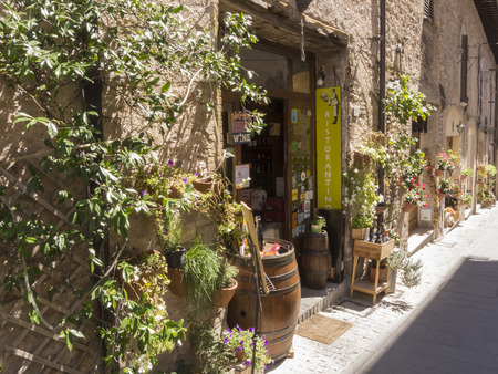Plants and flowers in pots on narrow streets of the ancient village of Spello, Umbria, Italyのeditorial素材