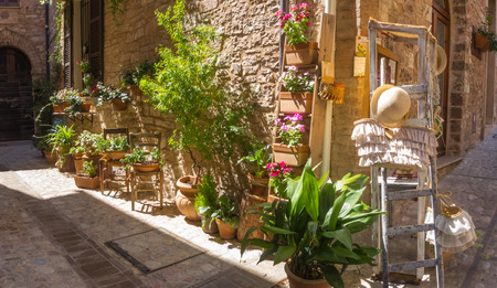 Plants and flowers in pots on narrow streets of the ancient village of Spello, Umbria, Italyのeditorial素材