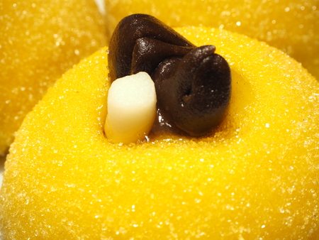 Traditional dessert of Bergamo: sweetened polenta and chocolate birdsの写真素材