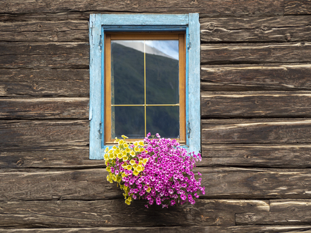 Traditional flowered windows at the Italian Alps and dolomitesの写真素材