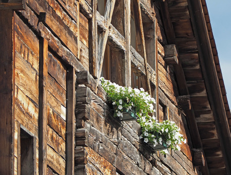 Traditional flowered windows at the Italian Alps and dolomitesの写真素材