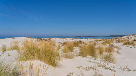 The wonderful white sand dunes of Porto Pino in Sardinia, Italy. Wild and uncontaminated...