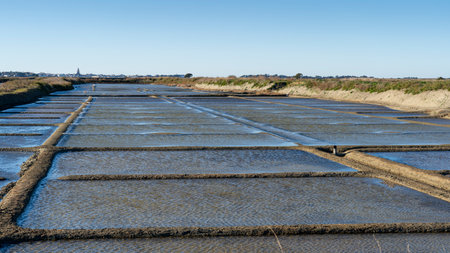 The GuÃ©rande salt marshes in the north of France. They are are part of Loire-Atlantique's natural...