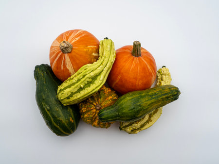 Many different colorful pumpkins on a white background. Halloween, harvest or fall concept. Small ornamental pumpkinsの写真素材