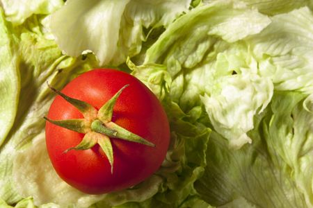 Tomato on Saladの写真素材