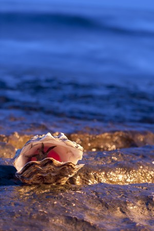 Oyster with Tomato
