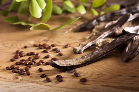 Carob Podsの写真素材