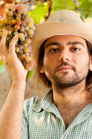 Farmer Holding a Yellow Bunch of Grapesの写真素材