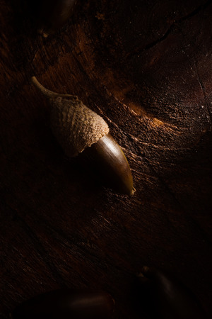 Acorn on Wooden Surface, Low Keyの写真素材