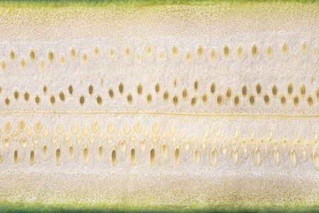 Close-Up of a Sliced Courgette with Seedsの写真素材