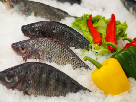 Fish is a food that is beneficial to humans. This is a freshwater fish in Thailand.の写真素材