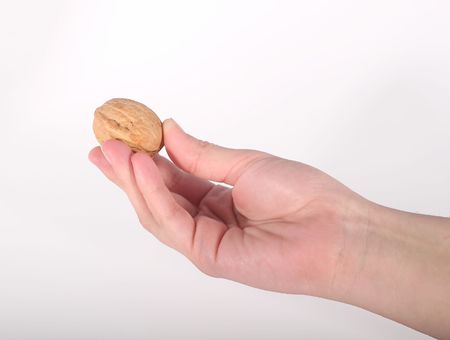 A hand holding a walnut against a white background.