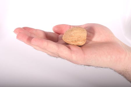 A hand cradling a walnut against a white background. の写真素材