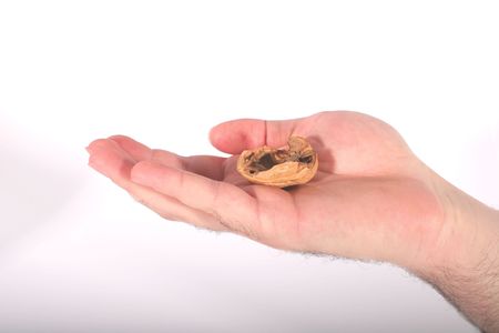 A hand holding the shell of a walnut.の写真素材