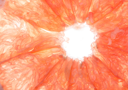 Close up image of a grapefruit sliceの写真素材