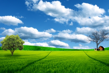 green field and blue skyの写真素材