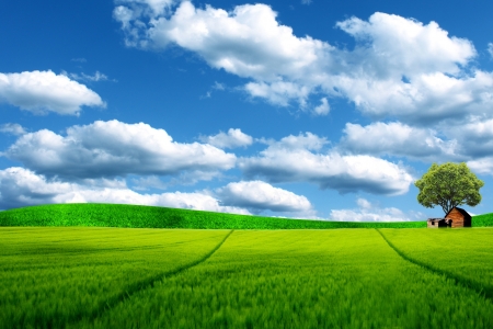 green field and blue skyの写真素材