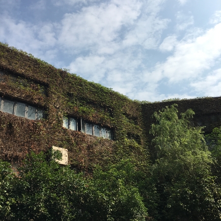 school of fine arts exterior viewのeditorial素材