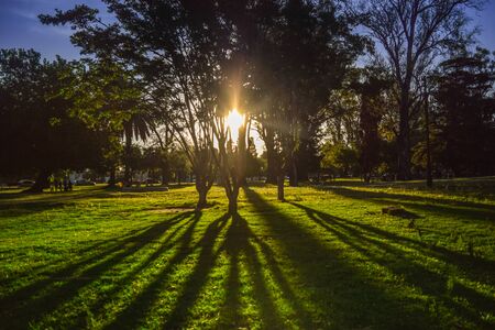 Long shot of green landscape with hidden sunset and tree shadowsの写真素材