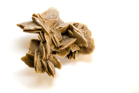 Desert Roseの写真素材