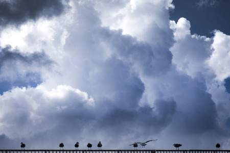 Clouds of heaven near the seaの写真素材