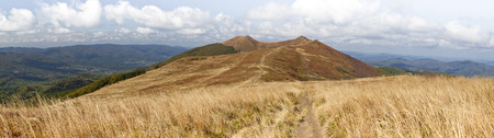 Photography taken in polish mountains in the summer.の写真素材