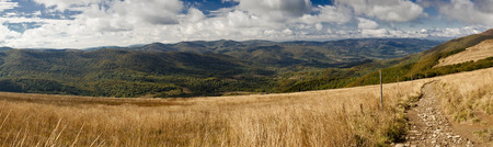 Photography taken in polish mountains in the summer.の写真素材