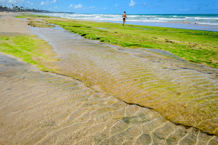Beaches of Brazil - Porto de Galinhas, Ipojuca - PEの写真素材