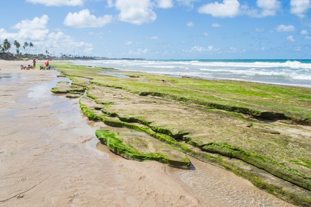 Beaches of Brazil - Porto de Galinhas, Ipojuca - PEの写真素材
