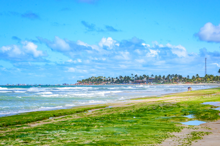 Beaches of Brazil - Porto de Galinhas, Ipojuca - PEの写真素材