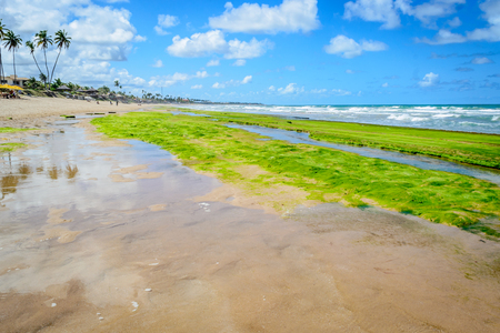 Beaches of Brazil - Porto de Galinhas, Ipojuca - PEの写真素材