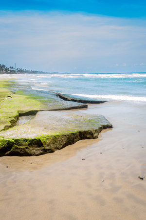 Tropical beach with seaweed and blue sky, Porto de Galinhas, Pernambuco - Brazilの写真素材