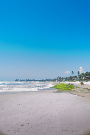 Tropical beach with white sand and blue skyの写真素材